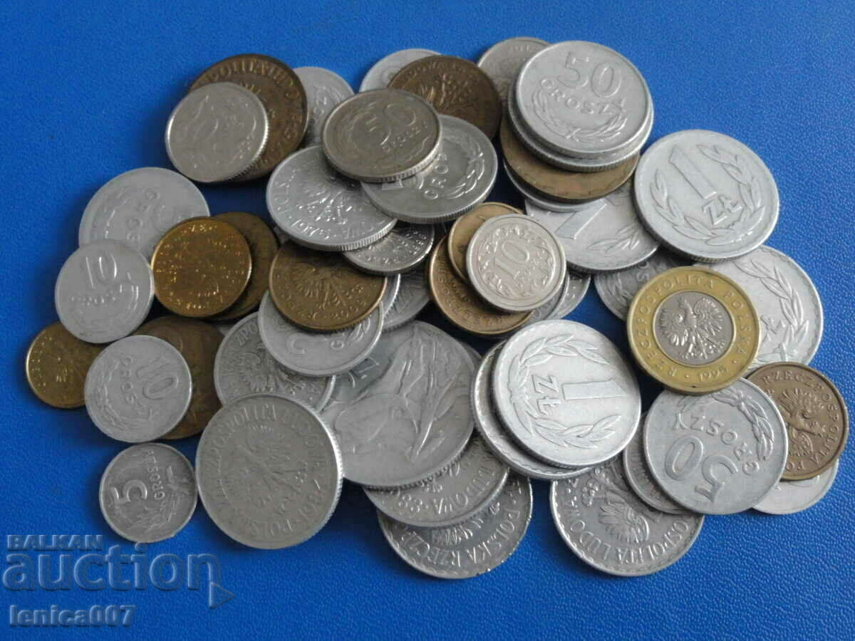 Poland - Coins (54 pieces) with price 12.00 BGN | € 6.14 Poland - Coins (54 pieces) with price 12.00 BGN | € 6.14
