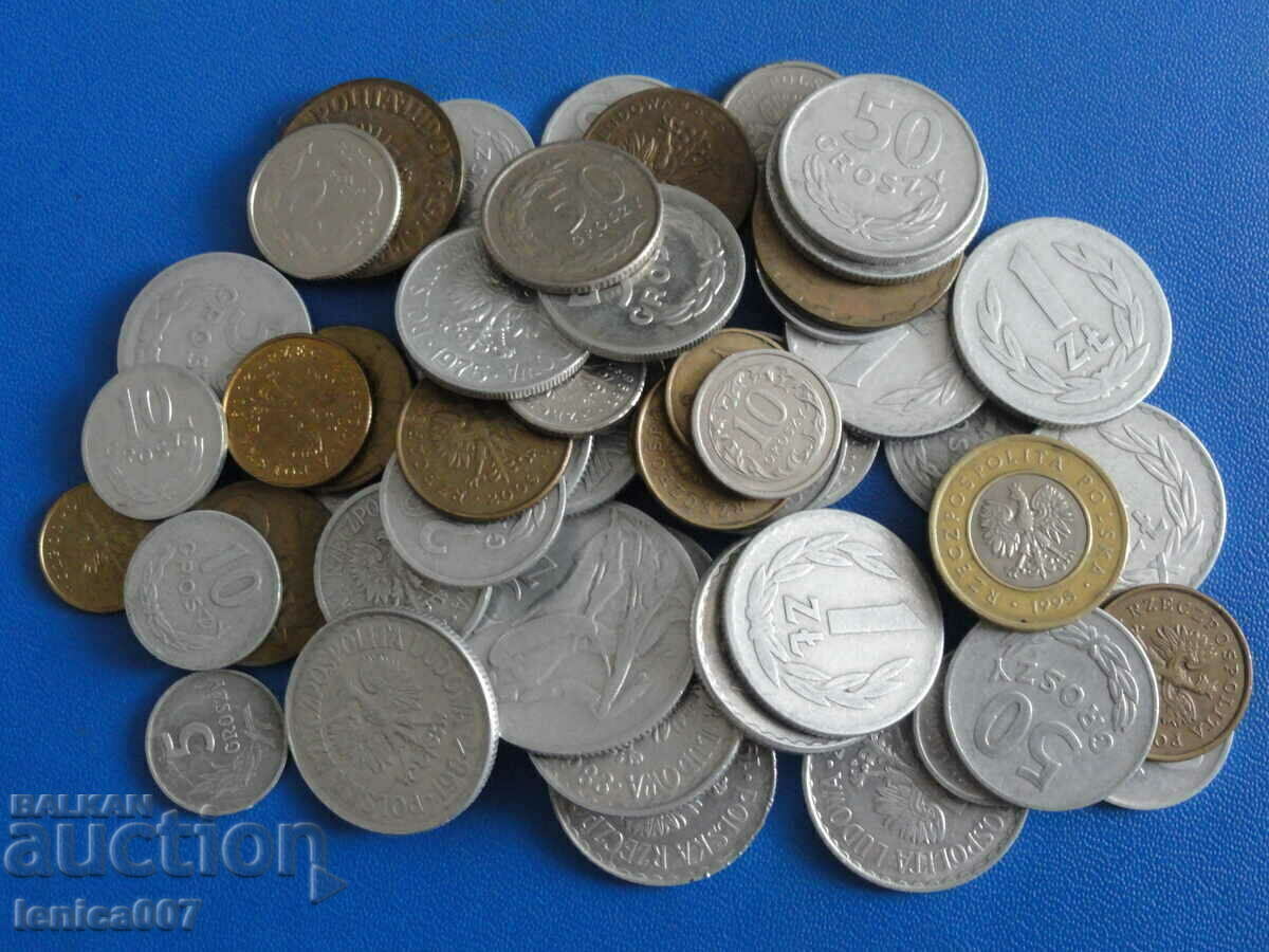 Auction  Poland - Coins (54 pieces)