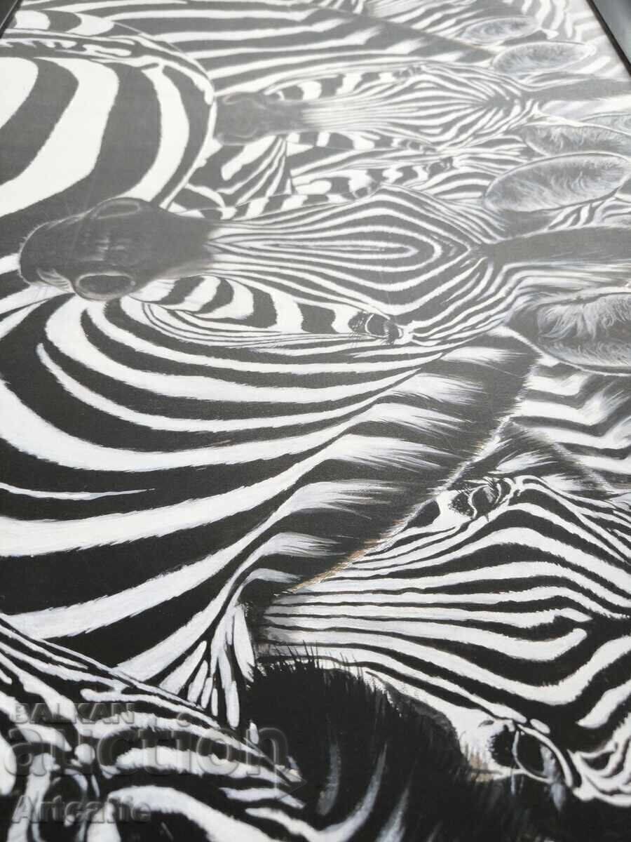 Εικόνα RENATO CASARO - 6 Εικόνα RENATO CASARO - 6