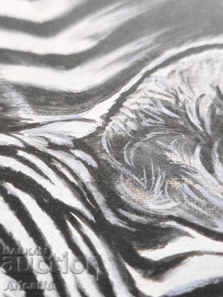 Picture RENATO CASARO - 7 Picture RENATO CASARO - 7