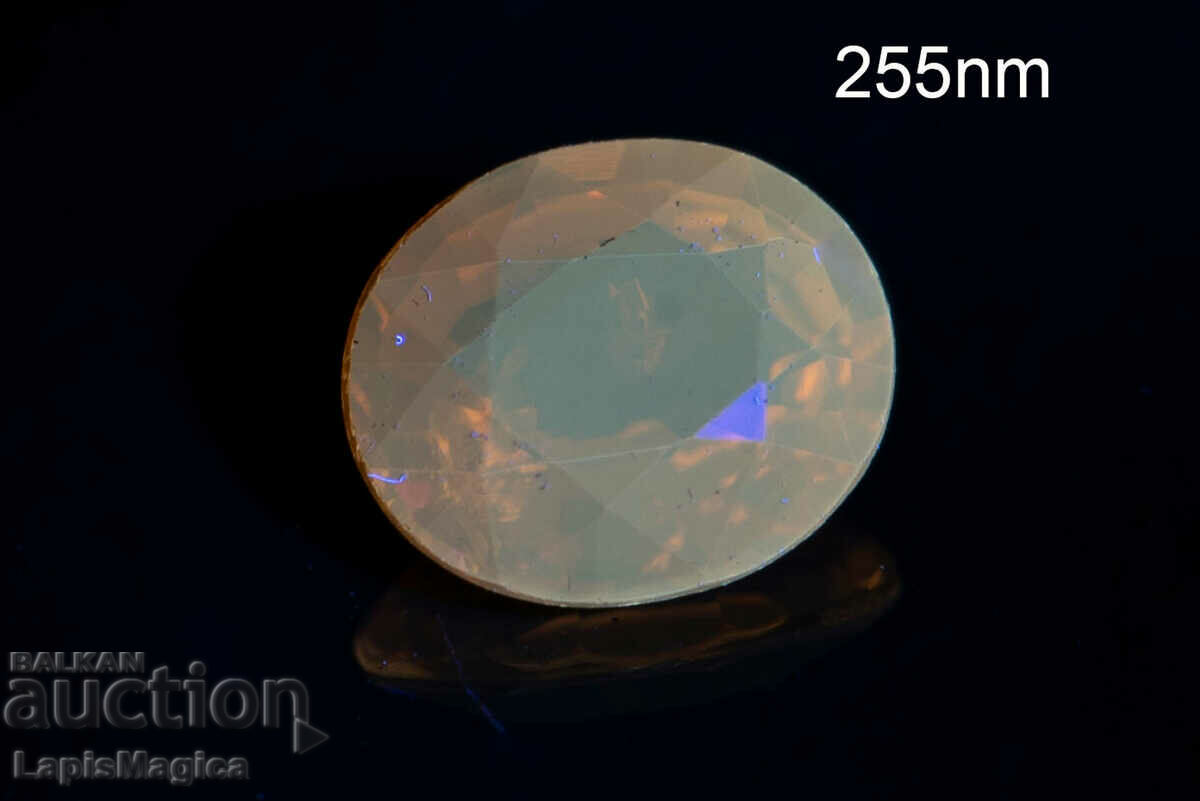 Orange Tourmaline 0.46ct Fluorescent Oval Cut #4 with price 22.00 BGN | € 11.25