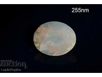 Turmalina portocalie 0,45ct Fluorescent Oval Cut #5