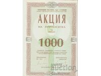 Акция  "Агенция Експрес" АД 1000 лева 1992 г.