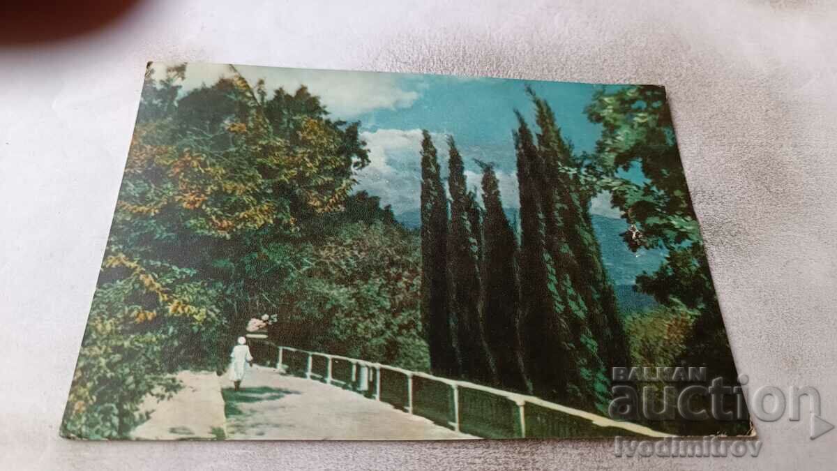 Пощенска картичка Крим Парк у паансионати Курпати
