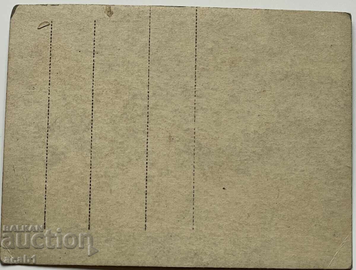 Συγγενείς του po beer με τιμή 7.99 BGN | € 4.09