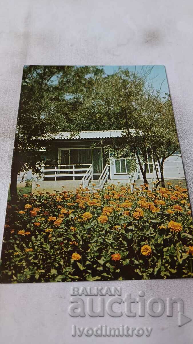 Postcard Lozenets Camping Oasis 1987