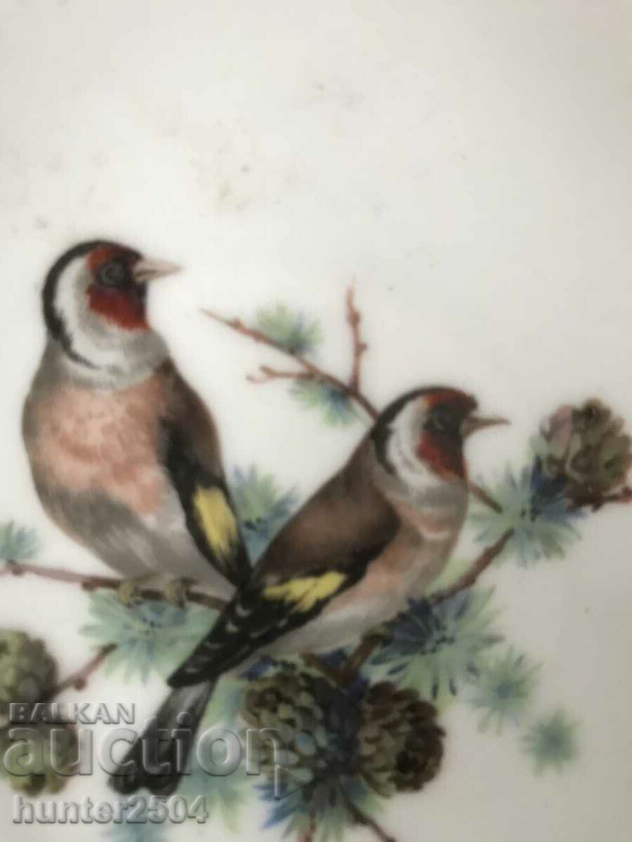 Plate, bowl-13 cm, marked with price 19.95 BGN | € 10.20 Plate, bowl-13 cm, marked with price 19.95 BGN | € 10.20