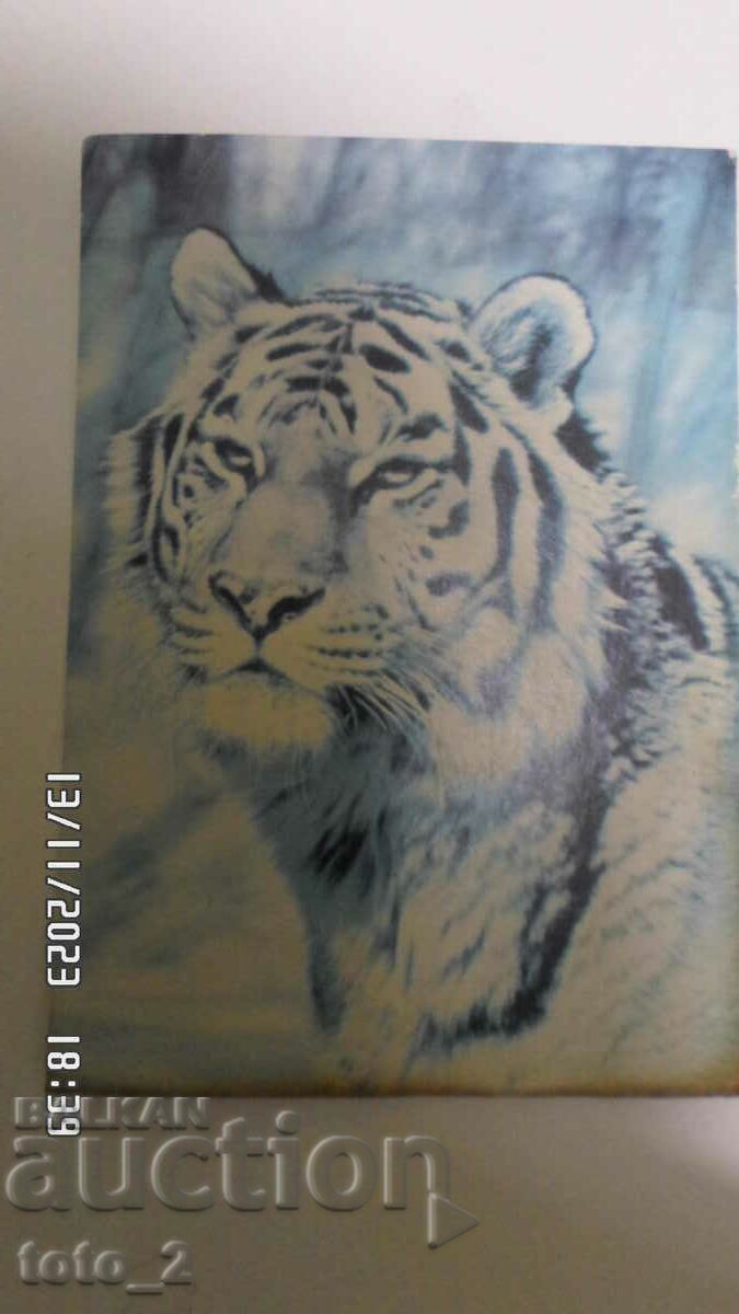 OLD TIGER CARD. OLD TIGER CARD.