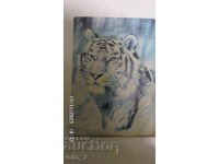 СТАРА КАРТИЧКА-ТИГЪР.