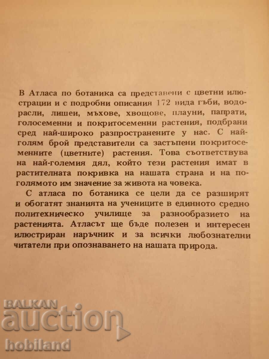 Auction Atlas of Botany Auction Atlas of Botany