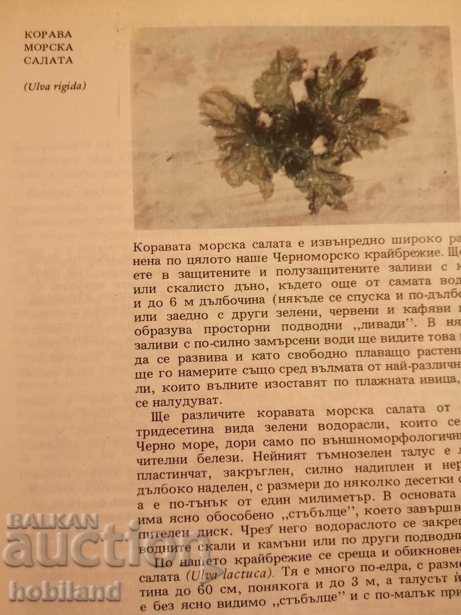 Atlas of Botany - 5 Atlas of Botany - 5