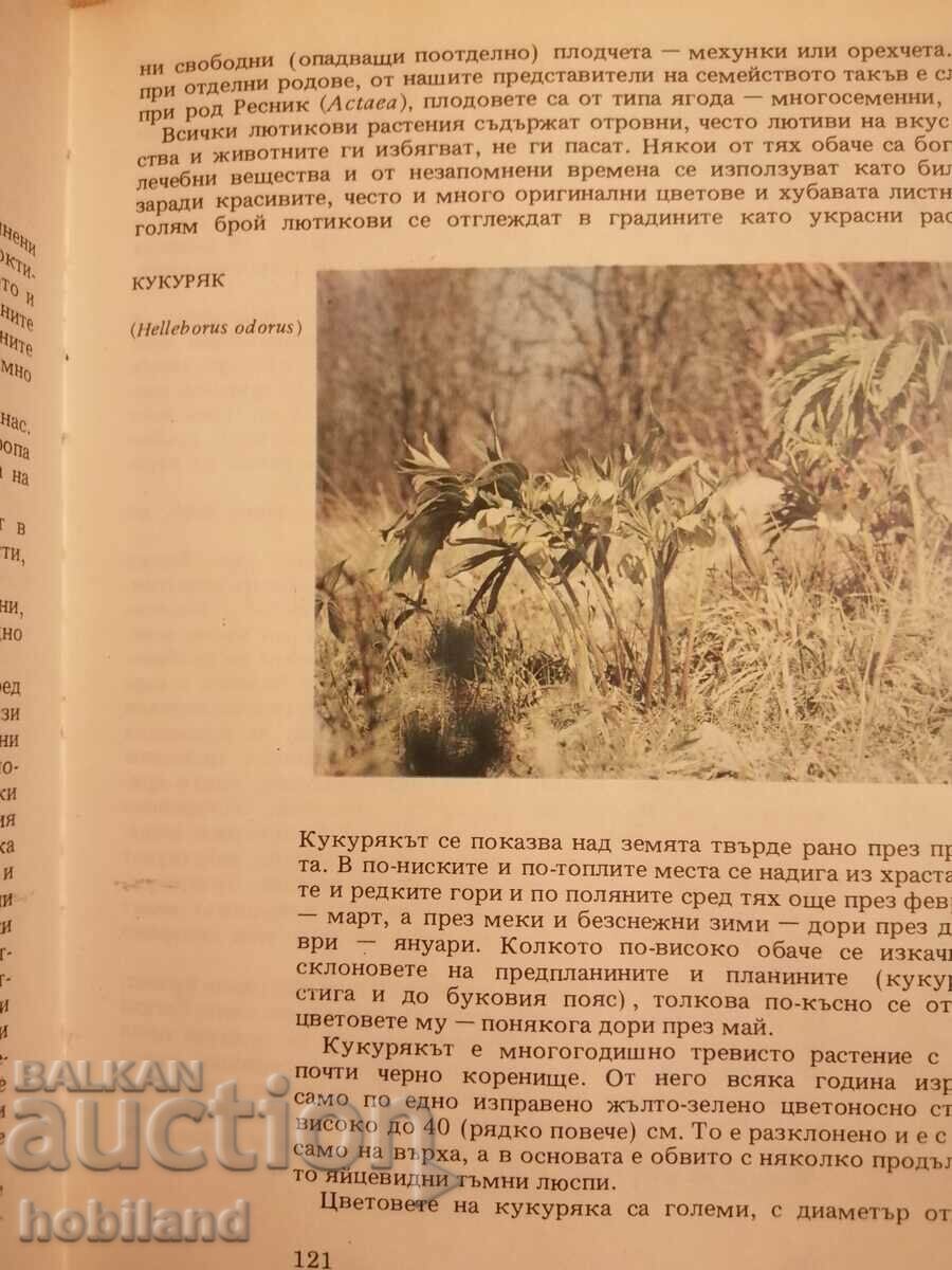 Atlas of Botany - 6 Atlas of Botany - 6