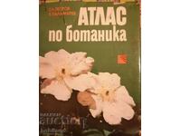 Atlas de botanica