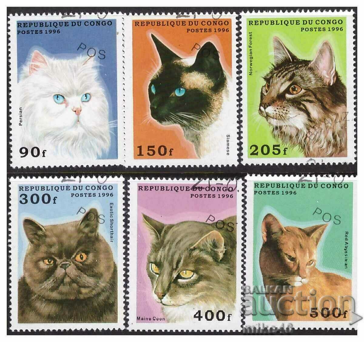 CONGO 1996 seria Pisici