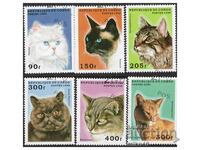 CONGO 1996 Cats series