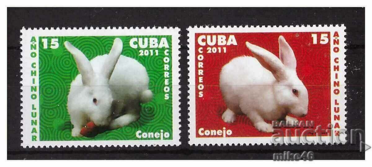 CUBA 2011 Year of the Rabbit clean streak