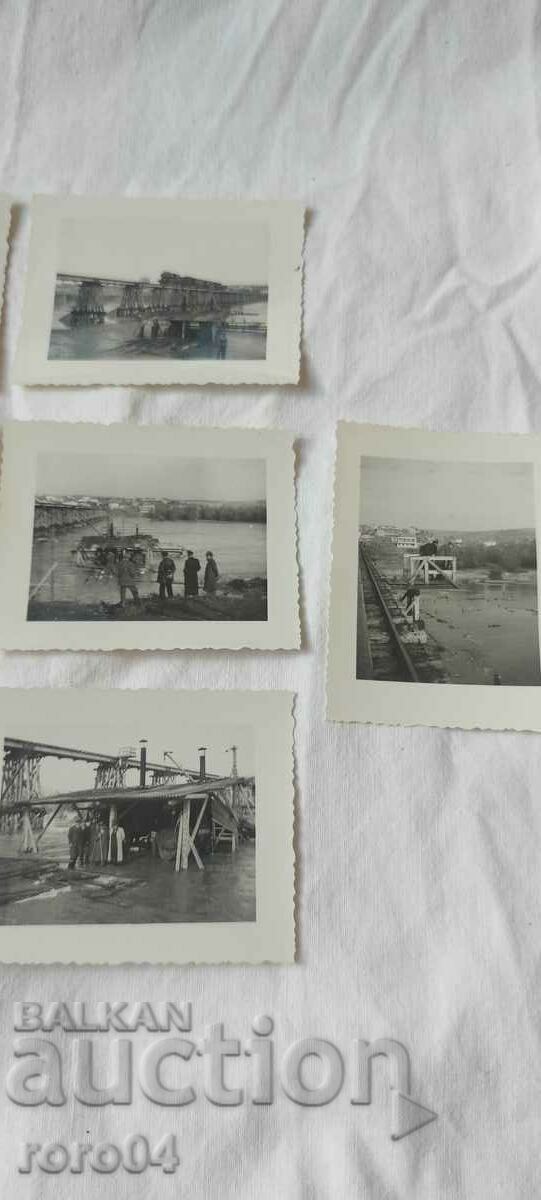 Delivery of BRIDGE - CELEBRATION - BENO FISHER Delivery of BRIDGE - CELEBRATION - BENO FISHER