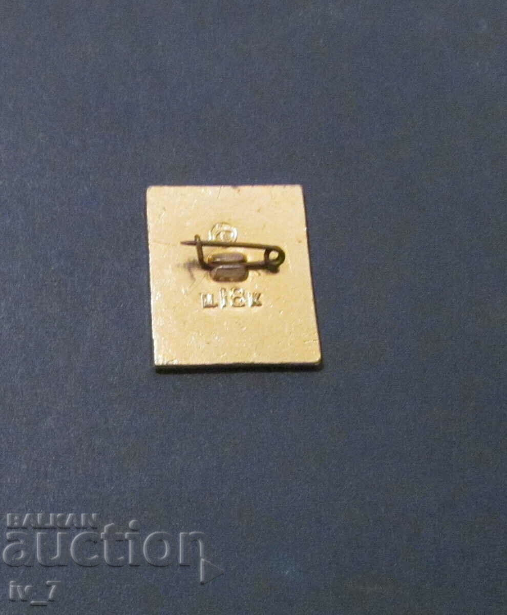 BADGE with price 0.50 BGN | € 0.26 BADGE with price 0.50 BGN | € 0.26