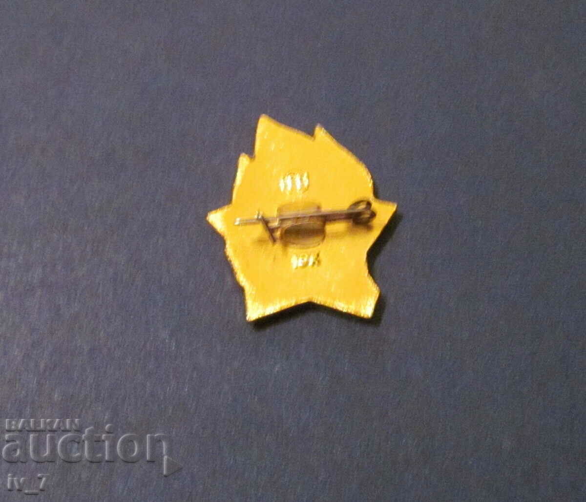 BADGE with price 0.50 BGN | € 0.26 BADGE with price 0.50 BGN | € 0.26