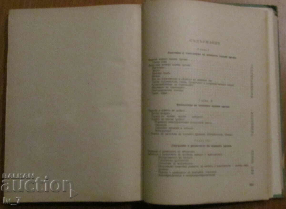 Auction GYNECOLOGY - ASSOCIATE. ILIA SHTARKALEV Auction GYNECOLOGY - ASSOCIATE. ILIA SHTARKALEV