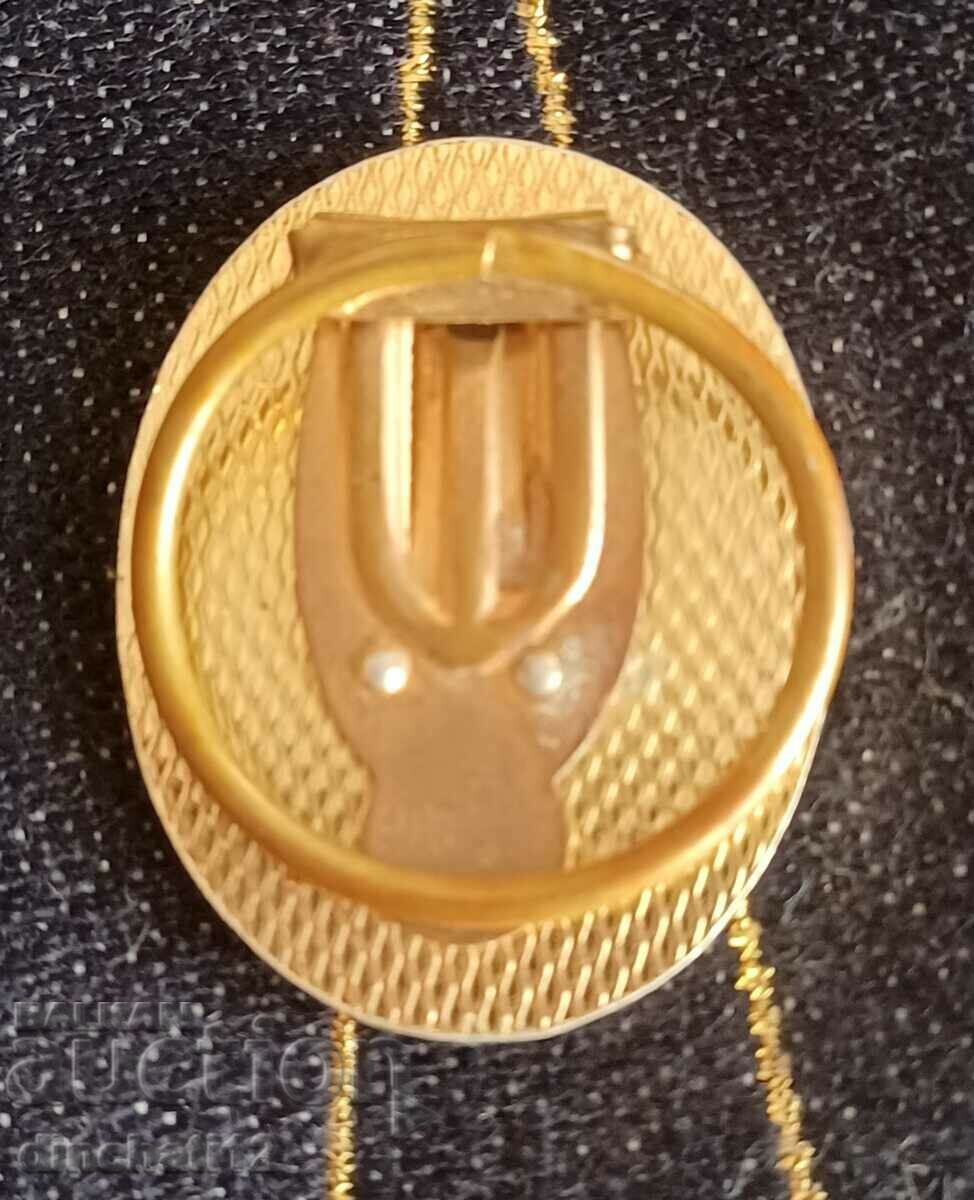 Δημοπρασία Νεφερτίτη. Σκουλαρίκι καρφίτσα πινακίδα Δημοπρασία Νεφερτίτη. Σκουλαρίκι καρφίτσα πινακίδα