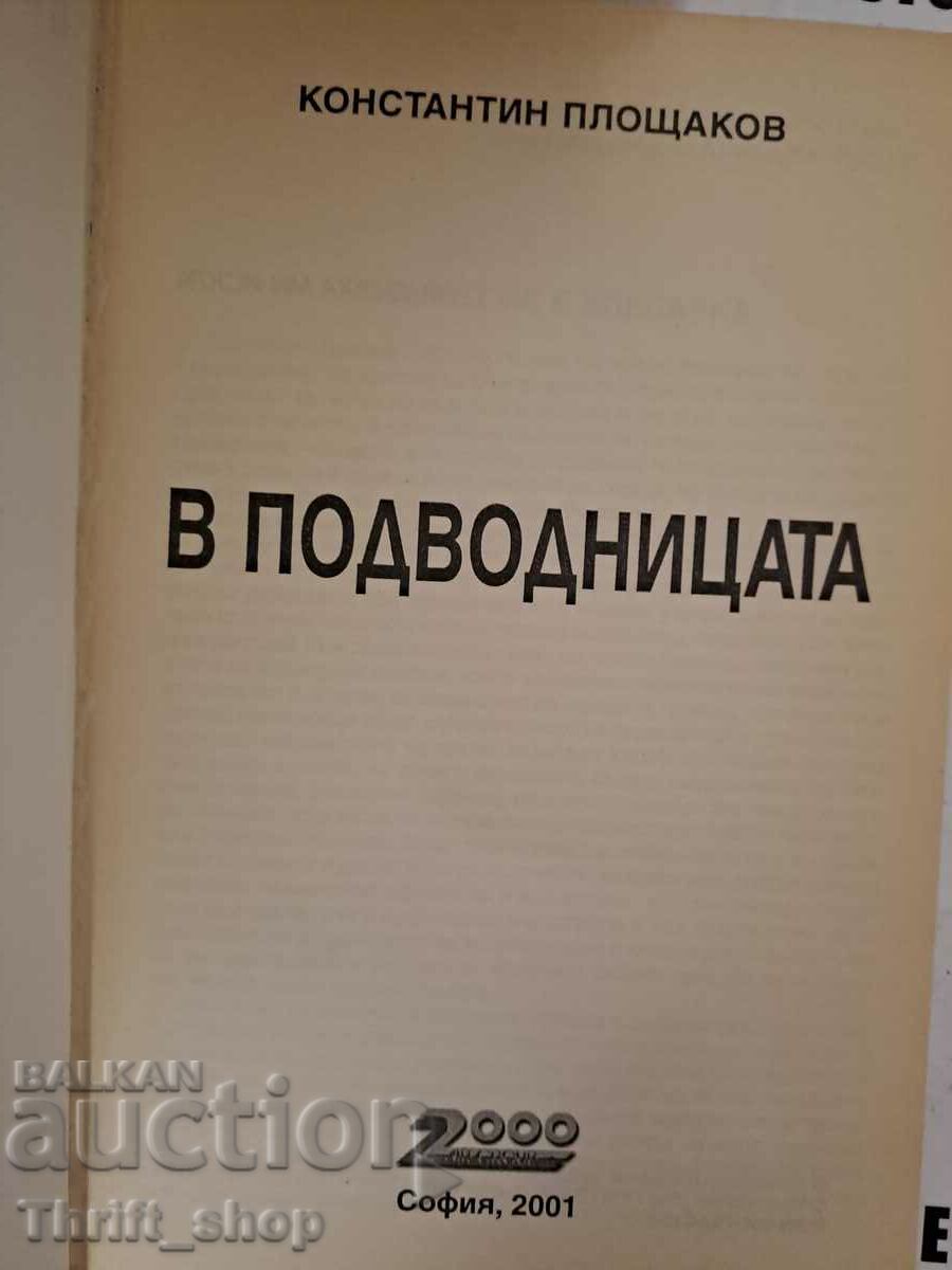 В подводницата Константин Площаков с цена 90.00 лв. | € 46.02 В подводницата Константин Площаков с цена 90.00 лв. | € 46.02