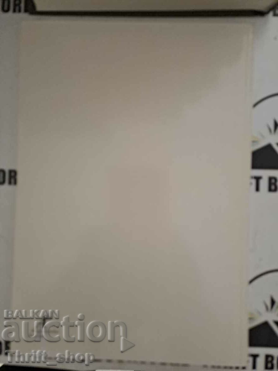 Auction And me with three regimes Liliana Krivoshieva Auction And me with three regimes Liliana Krivoshieva