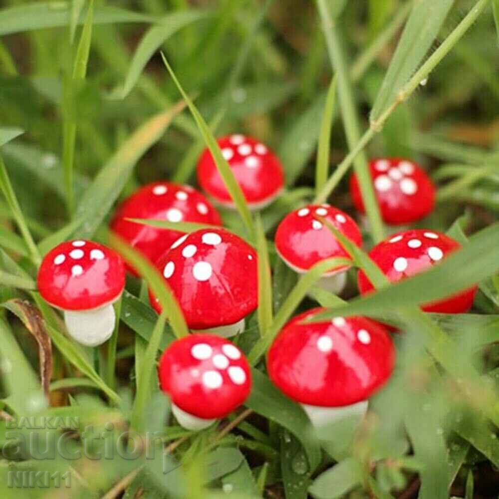10 pcs. poisonous mushrooms decoration for pots, flowers with price 6.00 BGN | € 3.07 10 pcs. poisonous mushrooms decoration for pots, flowers with price 6.00 BGN | € 3.07