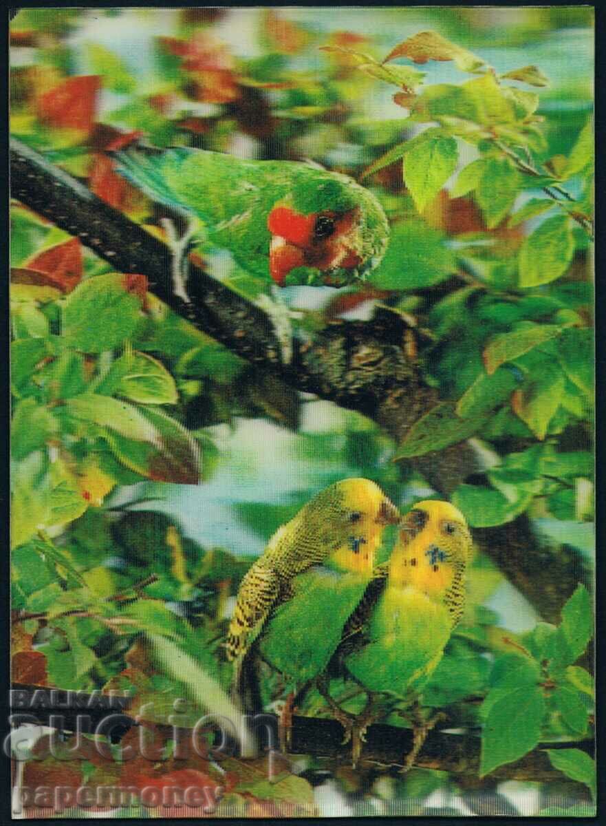 3D ελβετική καρτ ποστάλ παπαγάλοι πουλιά στερεοφωνικό δάσους