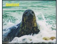 3D пощенска картичка Ameland тюлен море океан стерео