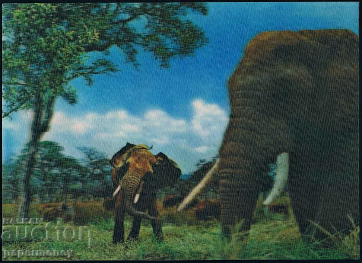 3D японска пощенска картичка слонове слон животни стерео