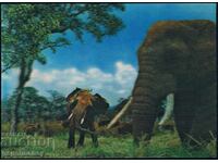 Carte poștală japoneză 3D elefanți elefanți animale stereo