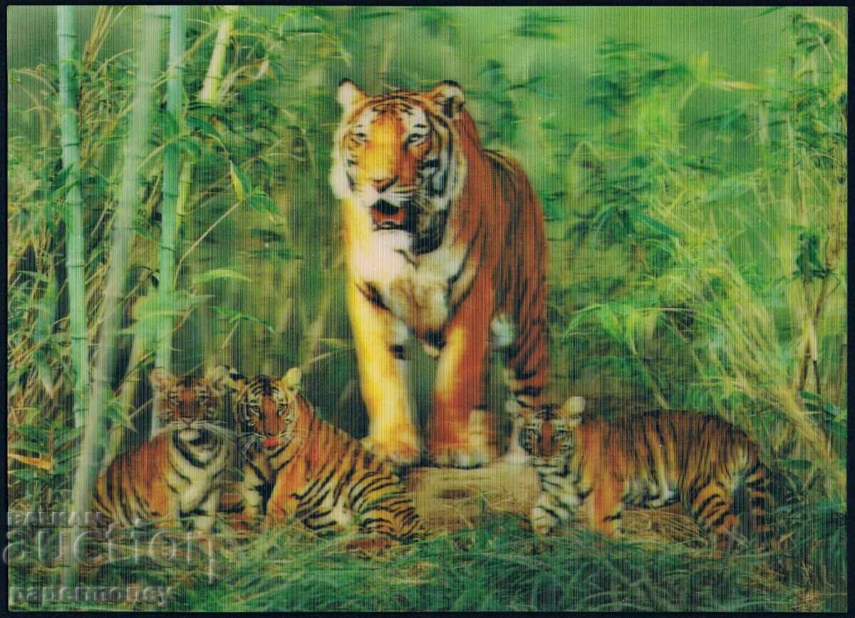 3D ιαπωνική καρτ ποστάλ τίγρη τίγρεις ζώα στερεοφωνικό