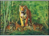 3D ιαπωνική καρτ ποστάλ τίγρη τίγρεις ζώα στερεοφωνικό