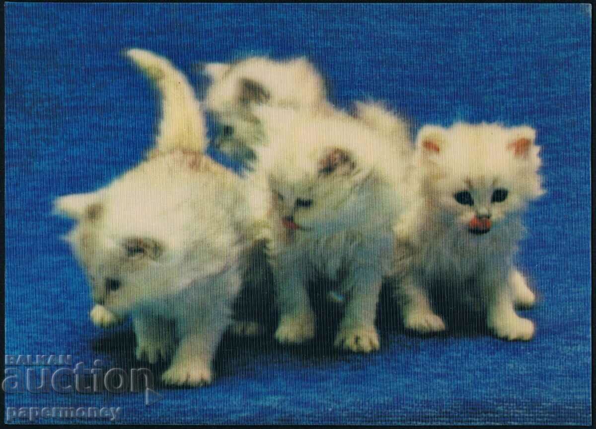 3D ιαπωνική καρτ ποστάλ γατάκια γάτες γατάκι στερεοφωνικό