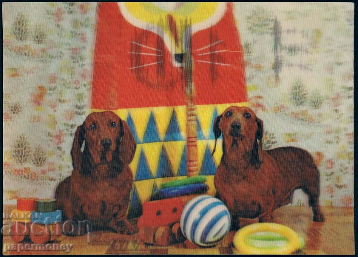 3D Japanese postcard dachshund dogs dachshund dog stereo