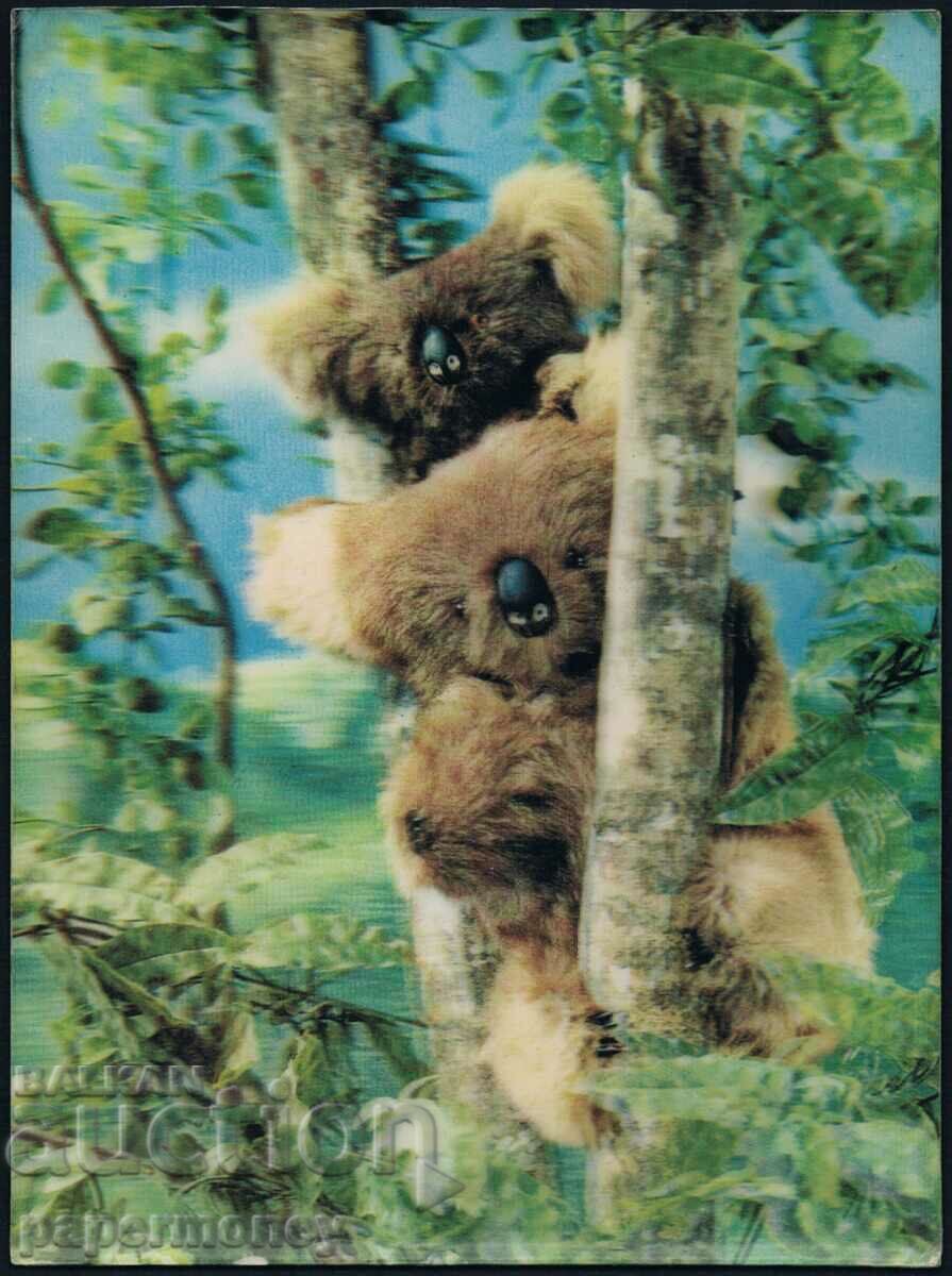 3D югославска пощенска картичка коали коала животни стерео