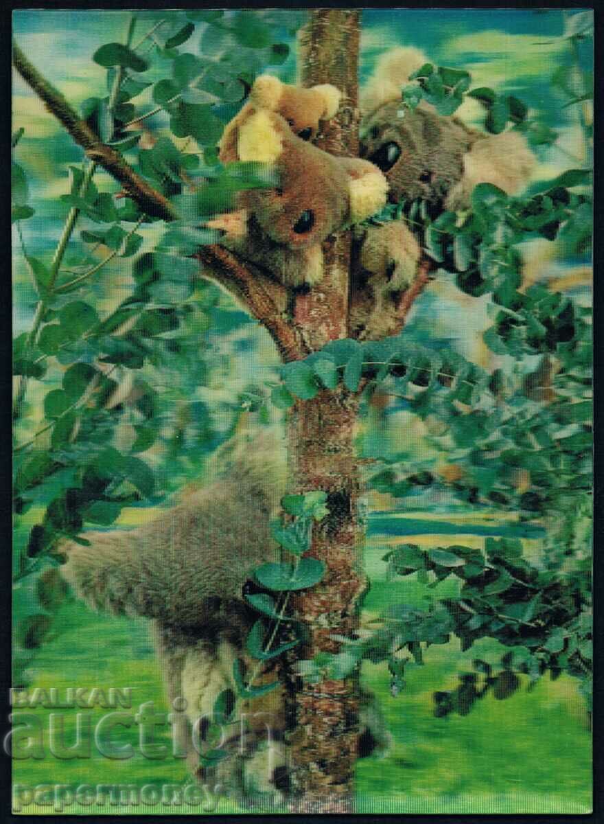3D swiss postcard koala koala forest stereo