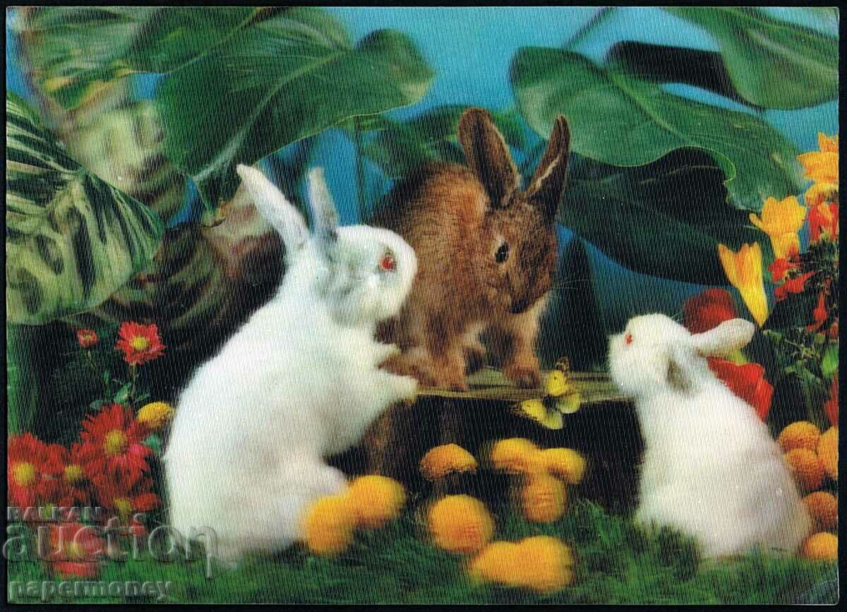 3D Japanese postcard rabbits rabbit flowers stereo