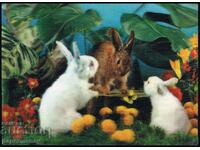 3D японска пощенска картичка зайци заек цветя стерео