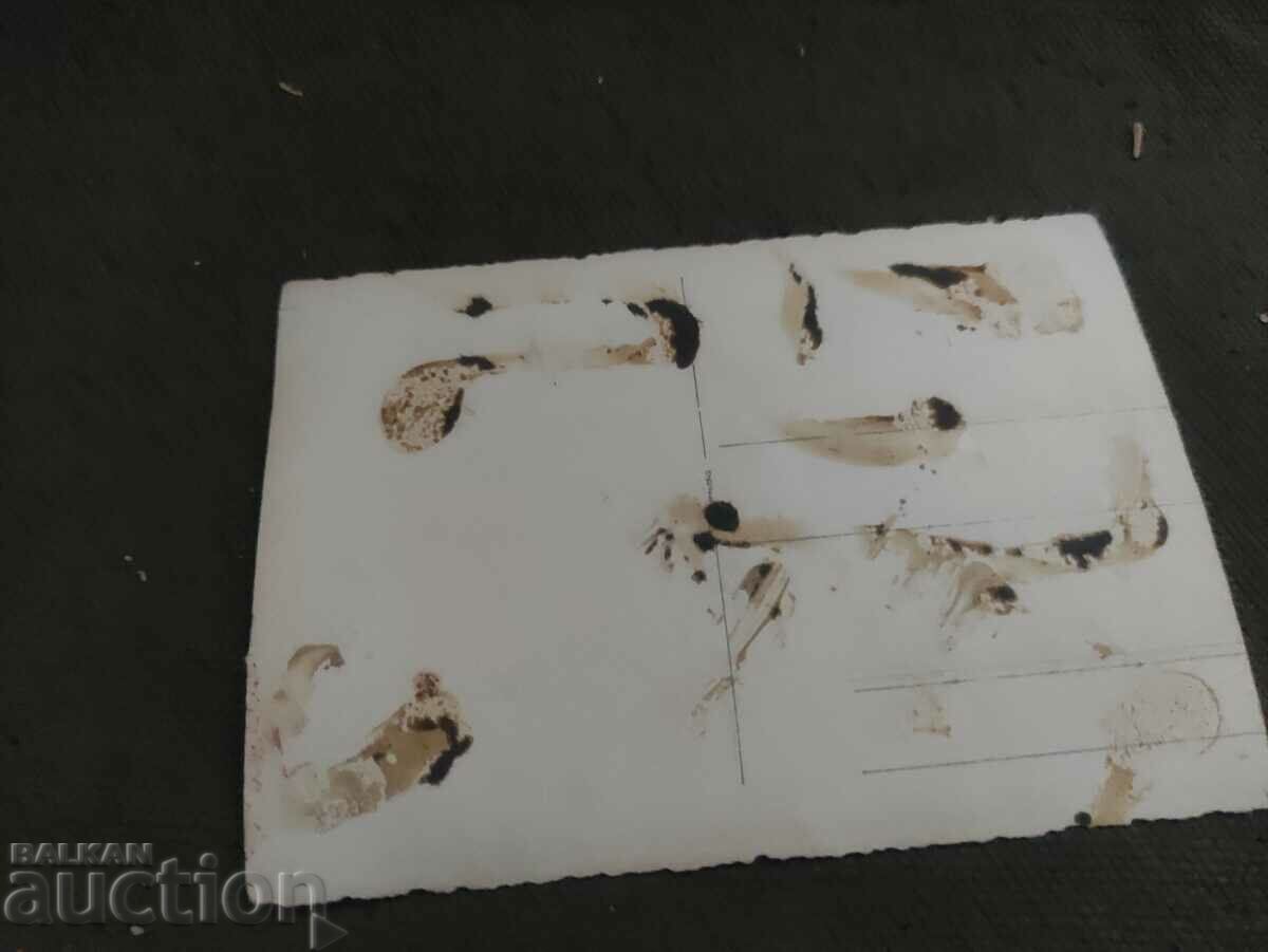 Girls in costumes with price 50.00 BGN | € 25.56 Girls in costumes with price 50.00 BGN | € 25.56