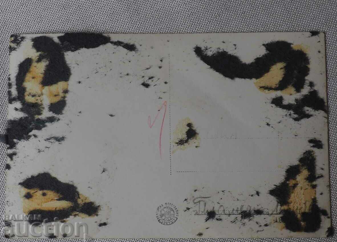 BULGARIA CARD STANKE DIMITROV DUPNITSA GENERAL VIEW 1962 with price 3.49 BGN | € 1.78 BULGARIA CARD STANKE DIMITROV DUPNITSA GENERAL VIEW 1962 with price 3.49 BGN | € 1.78