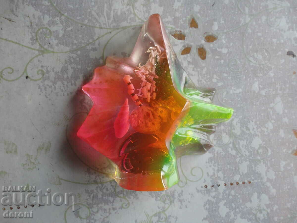 Аукцион Невероятен морски термометър Аукцион Невероятен морски термометър