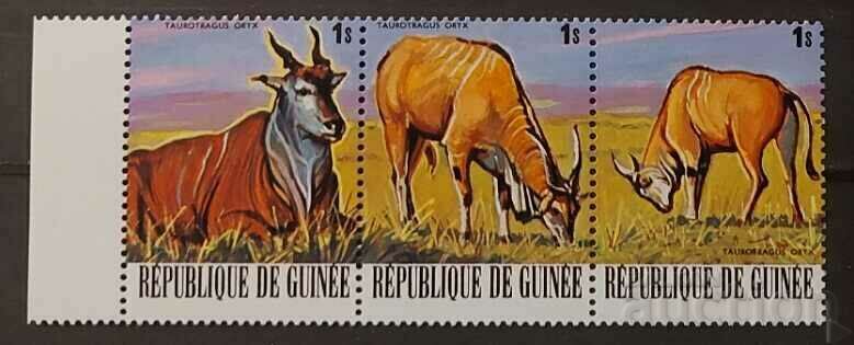 Гвинея 1977 Фауна/Животни/Обикновена антилопа кана MNH