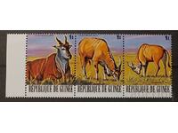 Guineea 1977 Faună/Animale/Comun Antilope ulcior MNH