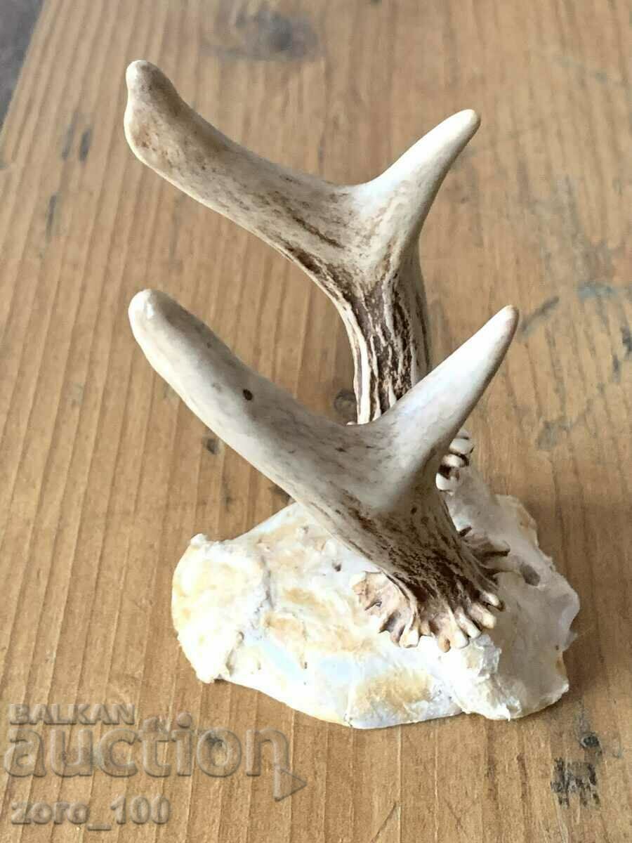 Companion trophy with price 20.00 BGN | € 10.23 Companion trophy with price 20.00 BGN | € 10.23