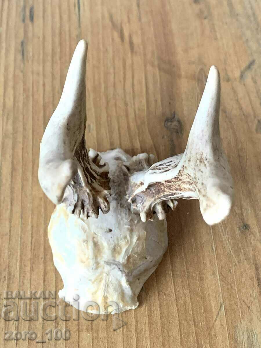 Auction Companion trophy Auction Companion trophy