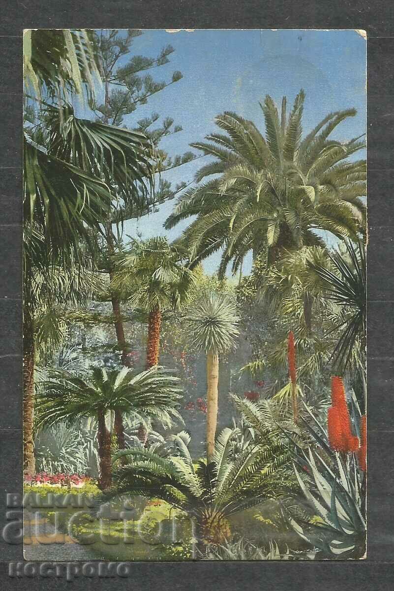 San Remo - Old postcard Italia - A 1214