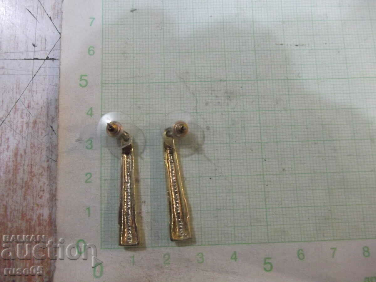 Auction Earrings - 4 Auction Earrings - 4