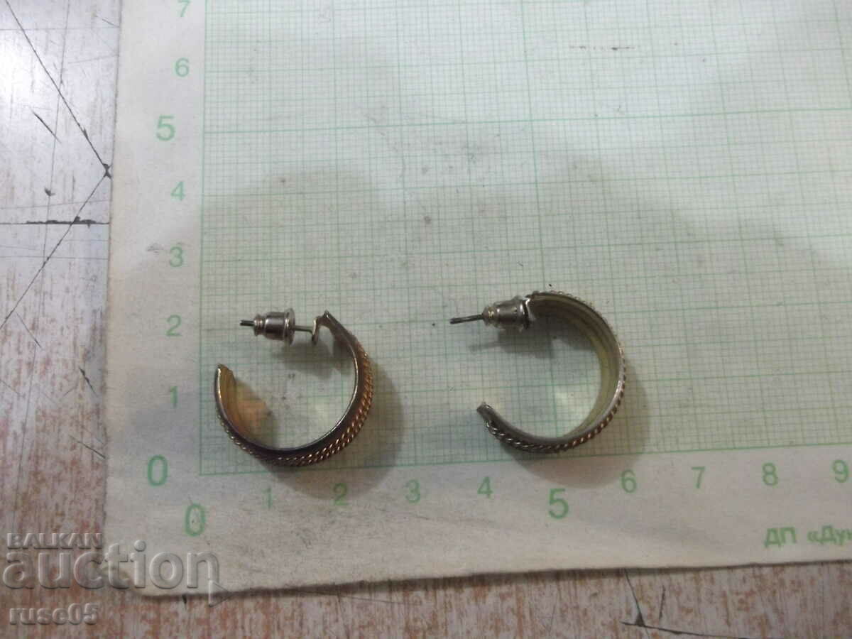 Earrings - 6 with price 1.00 BGN | € 0.51 Earrings - 6 with price 1.00 BGN | € 0.51